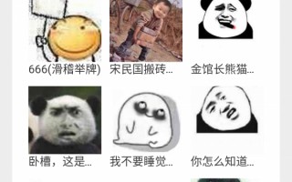 聊天表情包app软件大全，聊天表情包 微信 动态表情包
