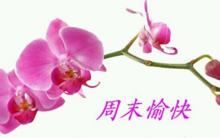 周末问候语温馨一句话，五月周末问候语温馨一句话