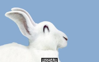 有关兔子的幽默笑话，有关兔子的幽默笑话段子